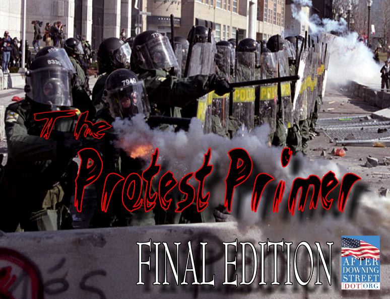 Protest Primer Final
