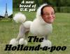 Holland-a-poo: A New Breed of U.S. Pet