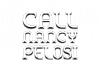 Call Nancy 2